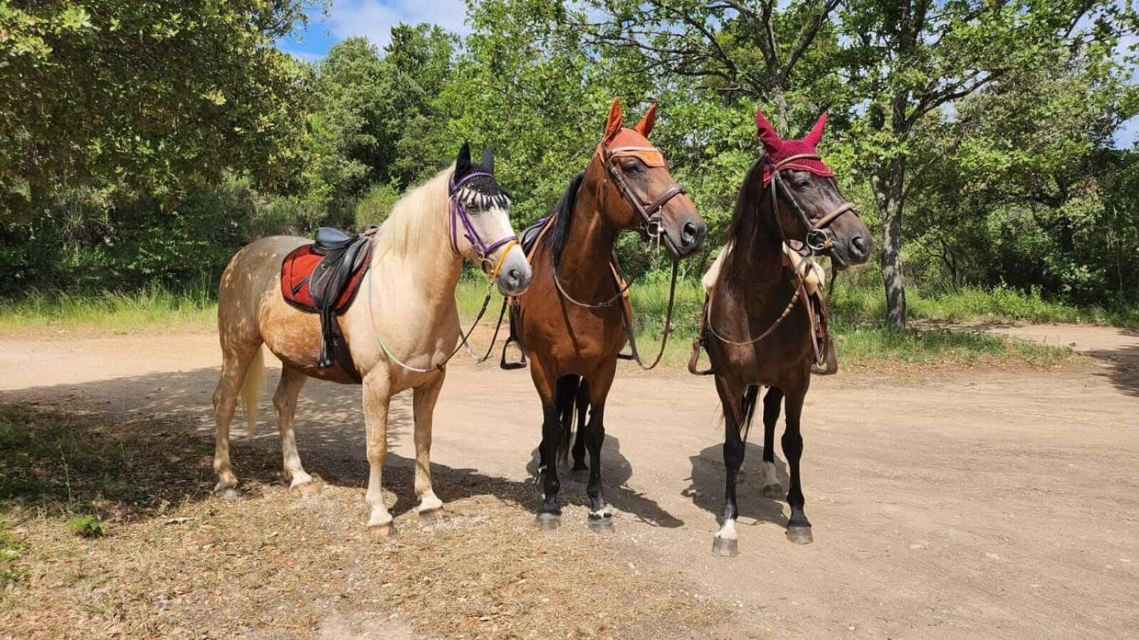 La Cabane Aux Chevaux Varages エクステリア 写真
