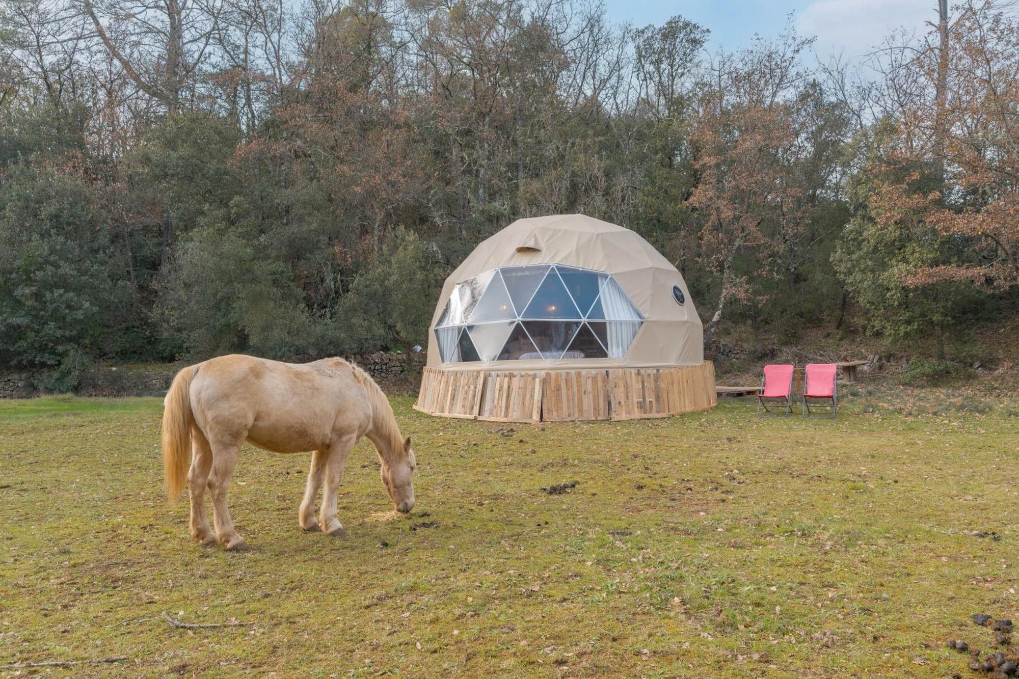 La Cabane Aux Chevaux Varages エクステリア 写真