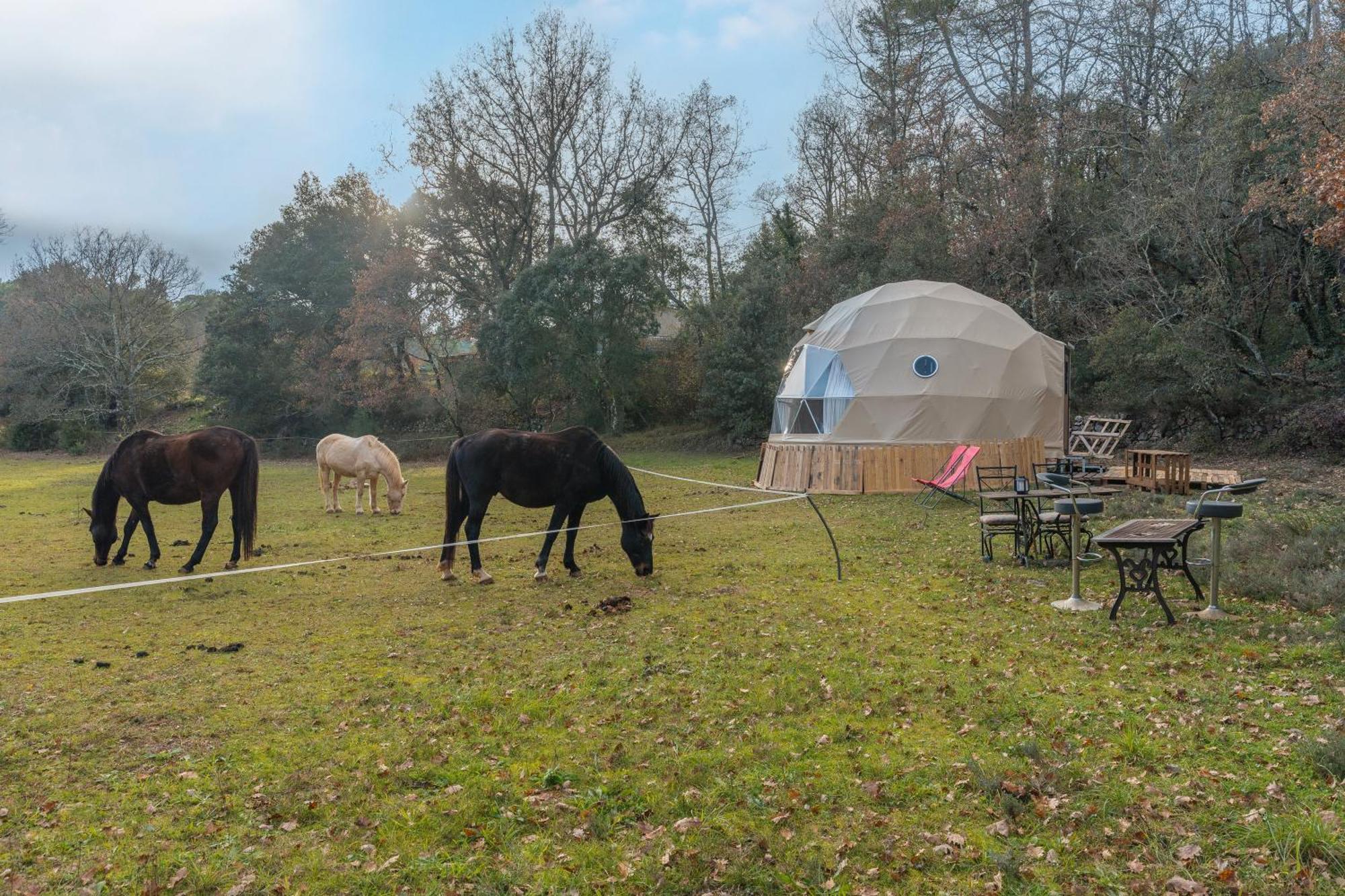 La Cabane Aux Chevaux Varages エクステリア 写真
